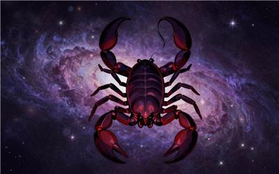 11月11日是什么星座？天蝎座爱情事业财运全面解析