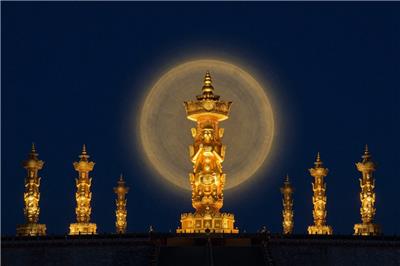 2026年8月四大生肖一路顺遂，另有四类属相宜低调蛰伏