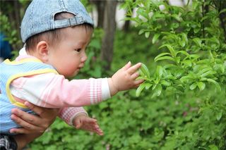 有熊姓女宝宝起名攻略：五行属性与三才配对